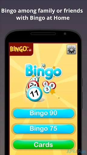 Bingo at Home Screenshot Image