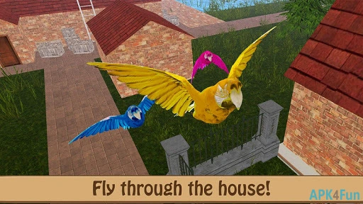 Birdy Pet Screenshot Image