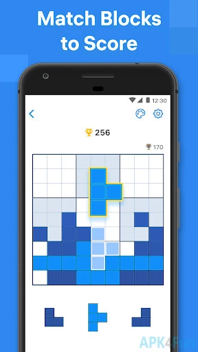 BlockuDoku Screenshot Image