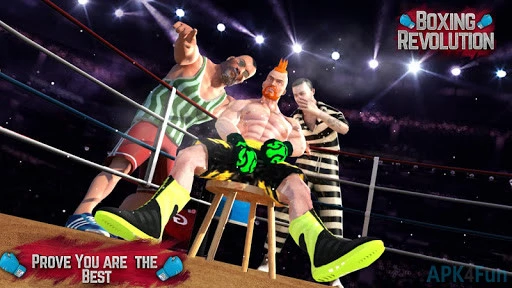 Boxing Revolution Screenshot Image