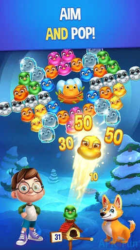 Bubble Birds V Screenshot Image