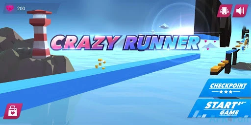 Crazy Runner Screenshot Image