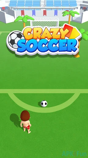 Crazy Soccer Screenshot Image