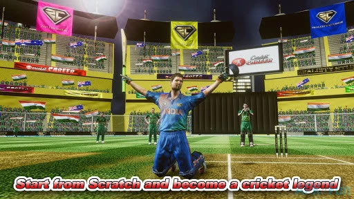 Cricket Career Screenshot Image