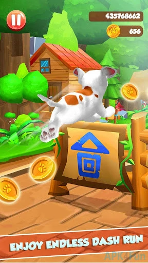 Dog Run Screenshot Image