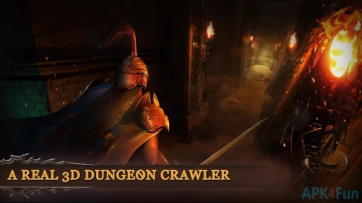 Dungeon & Heroes Screenshot Image