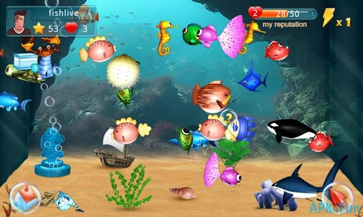 Fish Live Screenshot Image