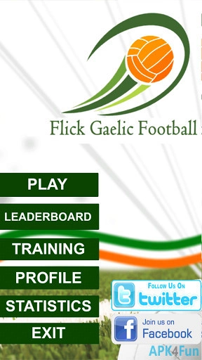 Flick Gaelic Football Screenshot Image