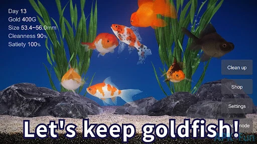 Goldfish 3D Screenshot Image