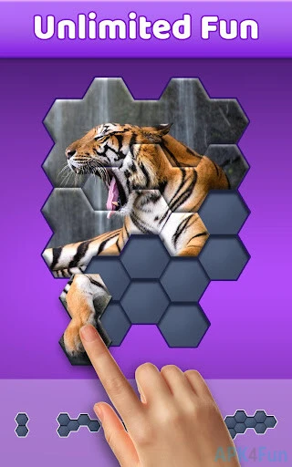 Hexa Jigsaw Puzzle Screenshot Image