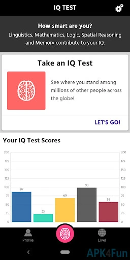 IQ Test Screenshot Image