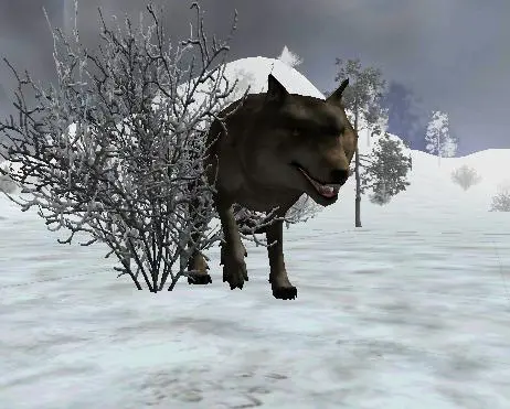 Ice Wolf Hunting Screenshot Image