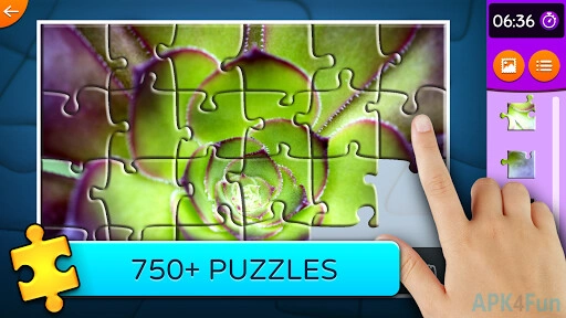 Jigsaw Puzzle Nature Screenshot Image