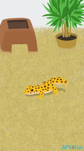 My Gecko Screenshot Image