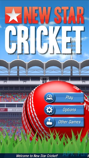 New Star Cricket Screenshot Image