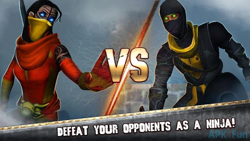 Ninja Fighting Screenshot Image