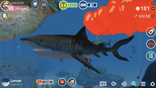 Ocean Reef Life Screenshot Image