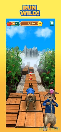 Peter Rabbit Run Screenshot Image