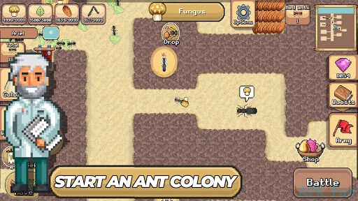 Pocket Ants Screenshot Image