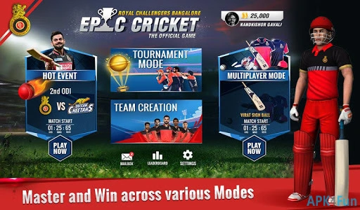 RCB Epic Cricket Screenshot Image