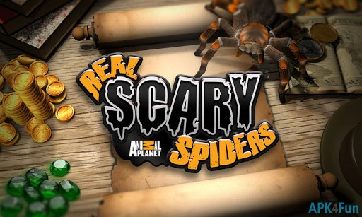 Real Scary Spiders Screenshot Image