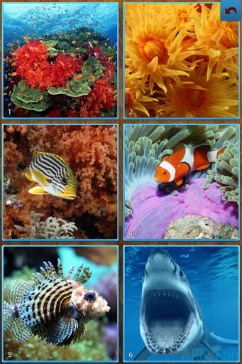 Sea Life Jigsaw Puzzles Screenshot Image