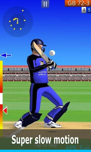 Smashing Cricket Screenshot Image