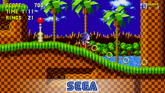 Sonic.webp.webp