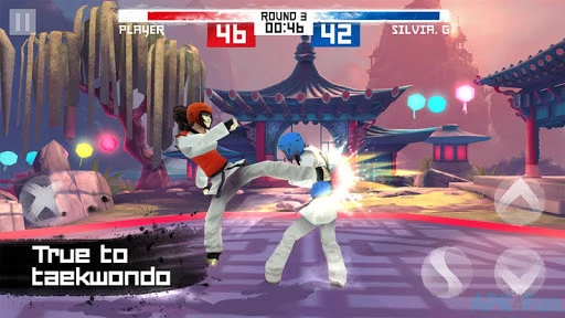 Taekwondo Screenshot Image