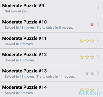 The Magnet Puzzle Screenshot Image