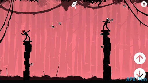 The Ninja Screenshot Image