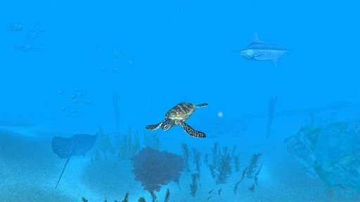 VR Ocean Aquarium 3D Screenshot Image