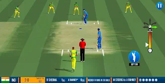 WCB2-Play-My-Career-Cricket.webp.webp