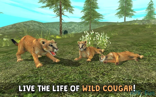 Wild Cougar Sim 3D Screenshot Image