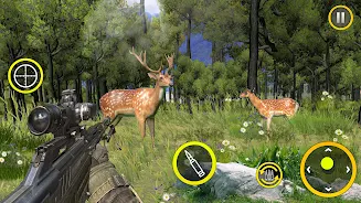 Wild-Deer-Hunting-Animal-Hunt.webp.webp