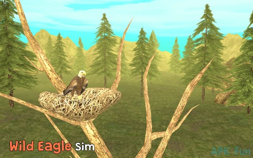 Wild Eagle Sim 3D Screenshot Image