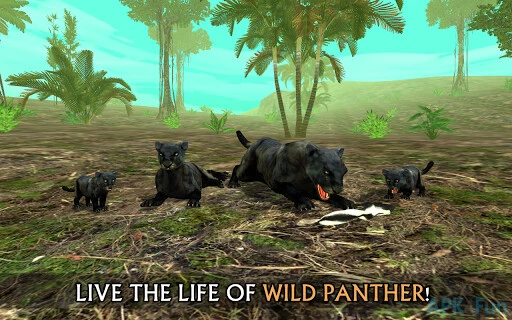 Wild Panther Sim Screenshot Image