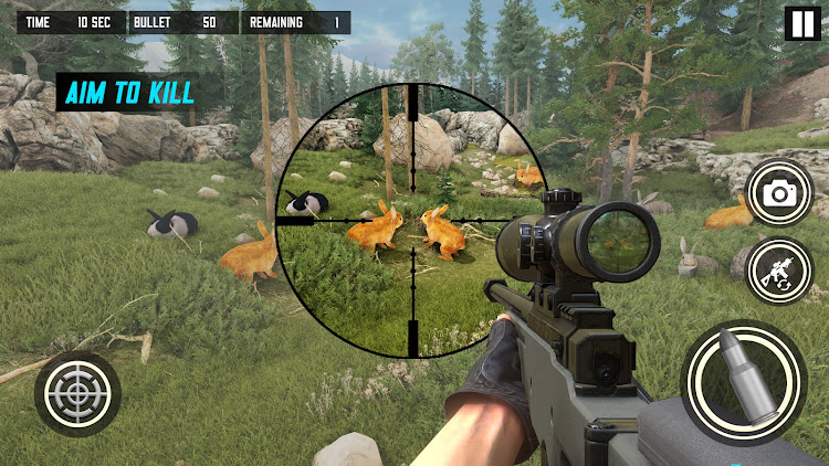 Wild-Rabbit-Hunt-Shooting-Game.jpeg