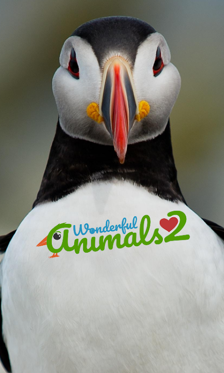 #1. Wonderful Animals 2 (Android) By: GRAFIKA BBZN