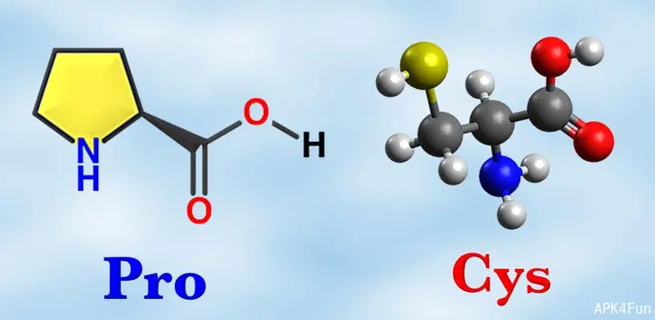 com.asmolgam.aminoacids-featured.webp.webp