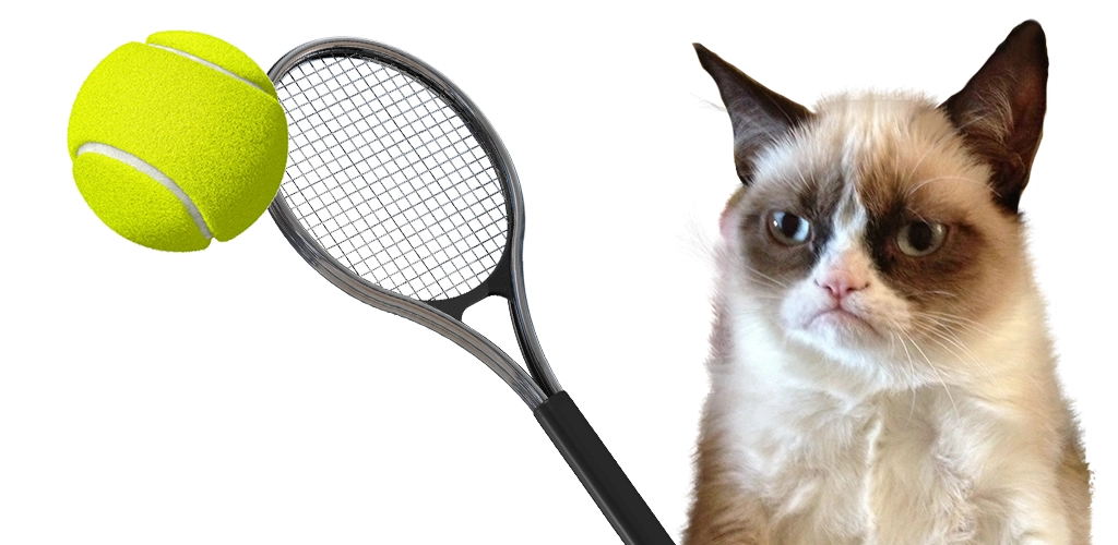 com.tennis.cat_.dog-featured.webp.webp