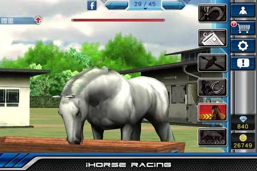 iHorse Racing ENG Screenshot Image