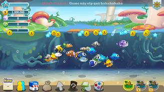 myFish-Chien-Ngu.webp.webp