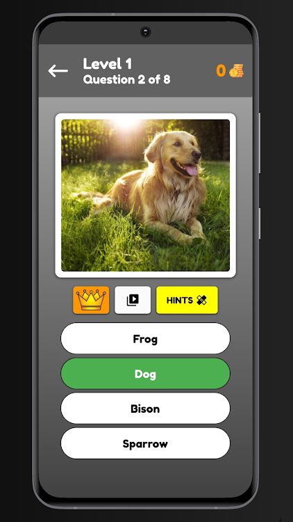 #2. Animals Quiz (Android) By: Ganesh Panwar