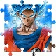 Goku Puzzle