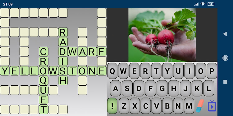 #4. Crossword With Pictures (Android) By: Radvent Solutions