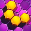 Flower Hexa Block Puzzle icon