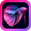 Bettarium - Betta Fish Tank icon