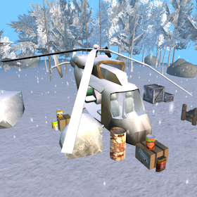 Snow Arctic Survival Adventure