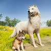 Wild Wolf Family Simulator 3D icon